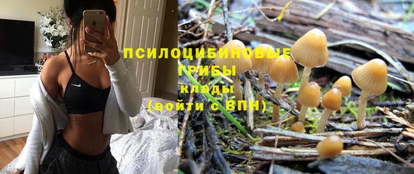 эйфоретик Алексин