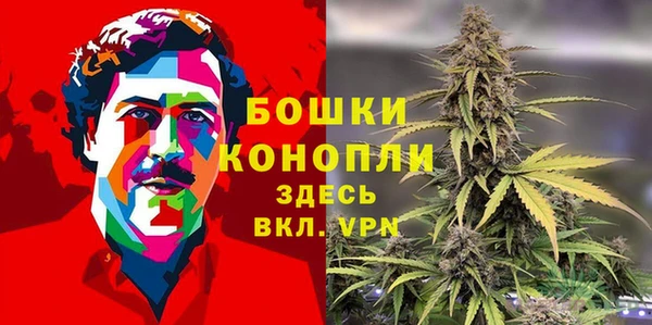 шишки Алексеевка