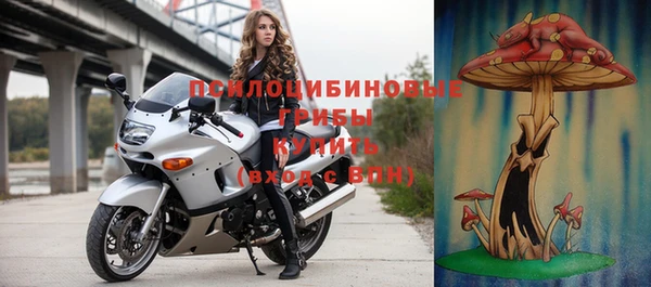 шишки Алексеевка