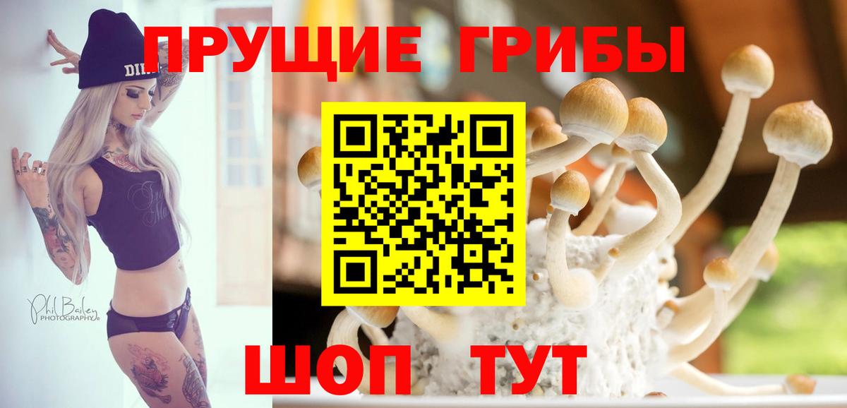 Галлюциногенные грибы прущие грибы Копейск